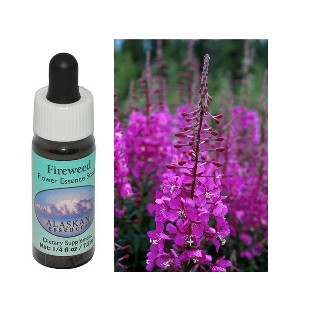 ファイヤーウィード アラスカンエッセンス フラワーエッセンス