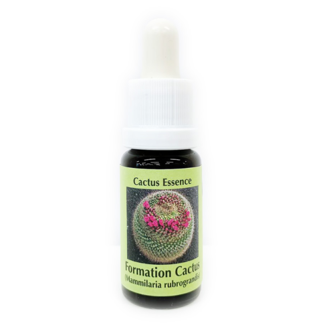 フォーメーションカクタス