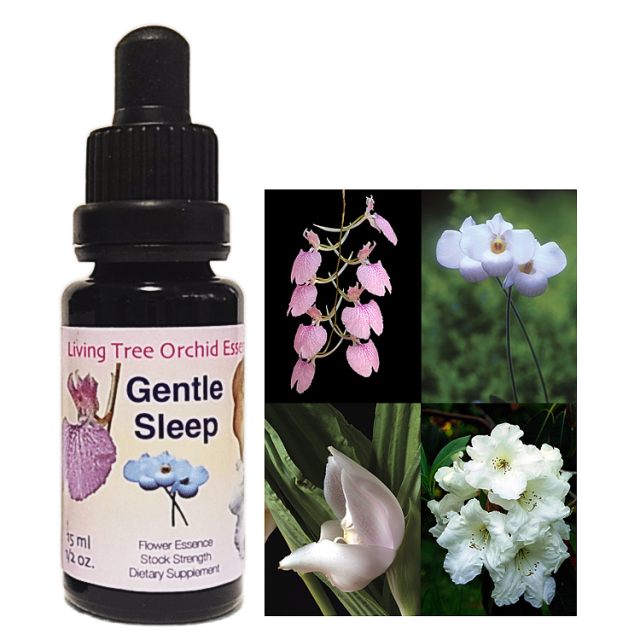 ジェントルスリープ