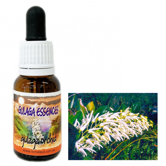 インディゴエッセンス ゴールドシリーズ 「ドリーミング イン ザ