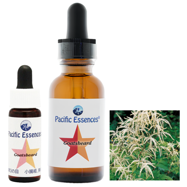 ゴーツベアード