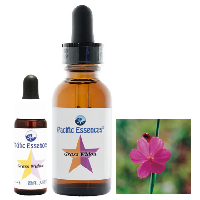 グラスウィドウ