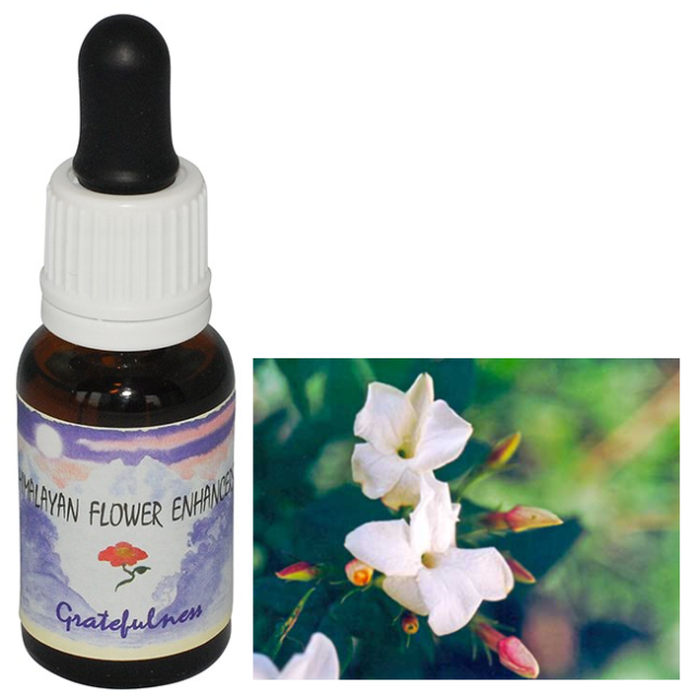 エロス　フィンドホーンフラワーエッセンス エロスエッセンス Amazon | フィンドホーン エロス 30ml コンビネーション