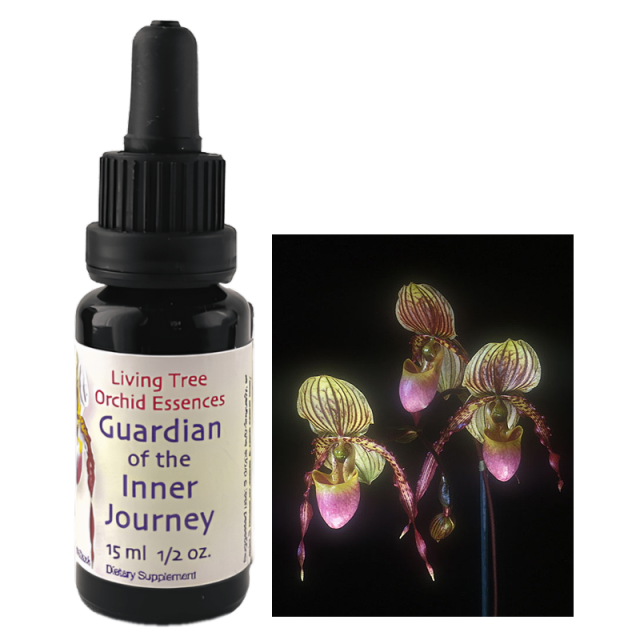 ガーディアンオブザインナージャーニー