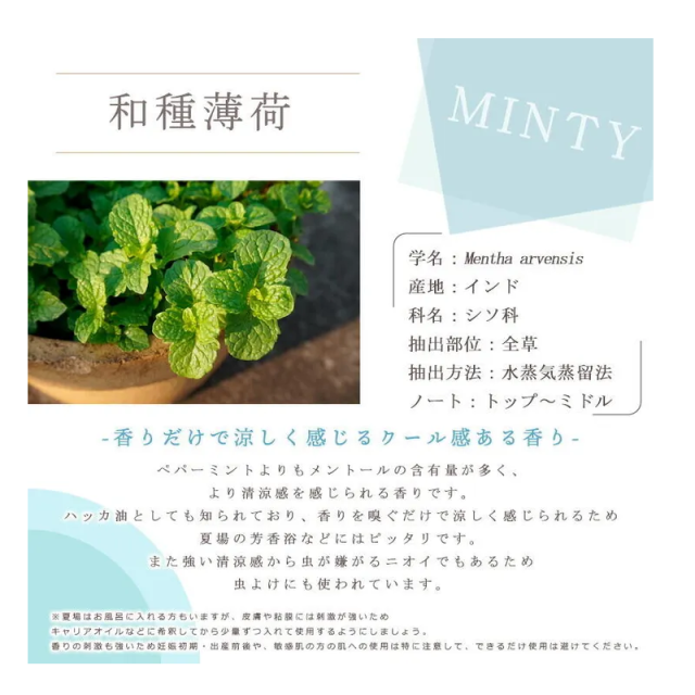 e-aroma 薄荷　ハッカ　精油　エッセンシャルオイル