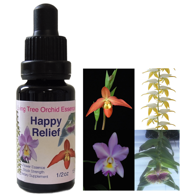 知的作業をスムーズに アクティブセレニティ リビングトゥリー