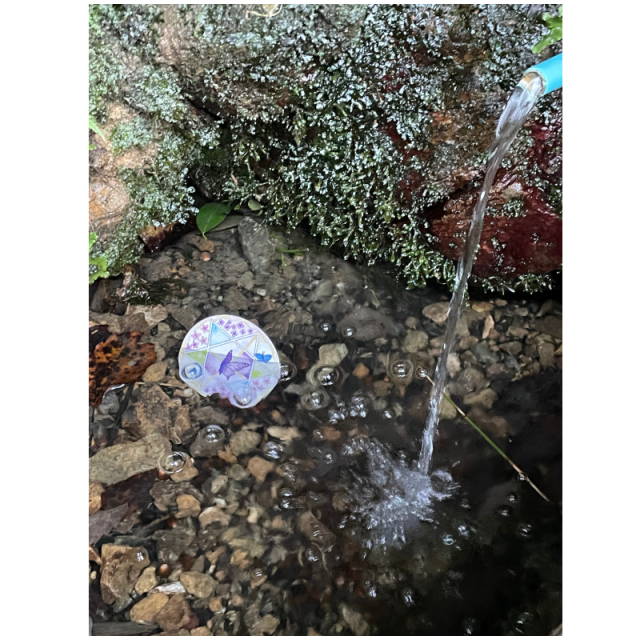 春・Transformaition