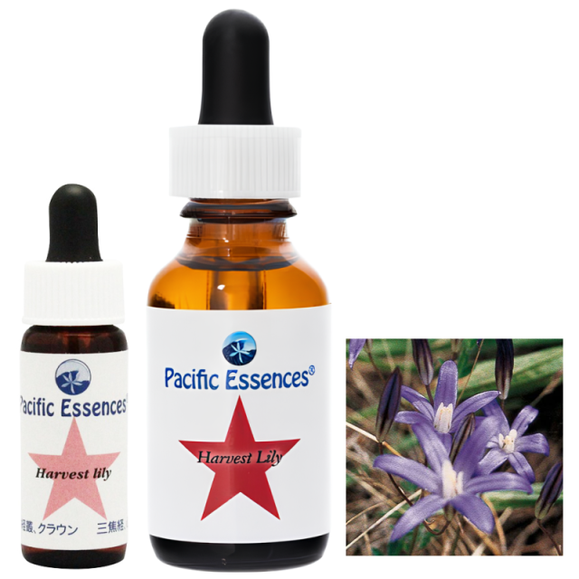 フラワーエッセンス　パシフィックエッセンス　経絡キットFlowers フラワーエッセンス パシフィックエッセンス 経絡キットFlowers