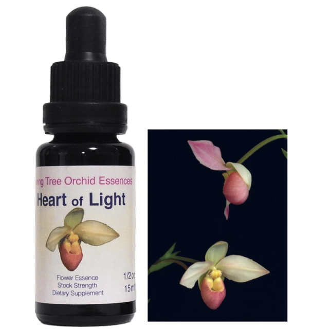 ハートオブライト