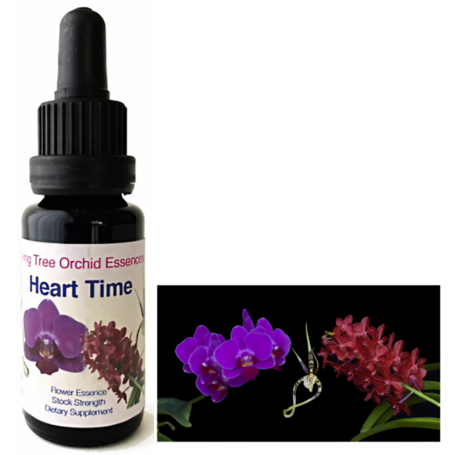 ジャストセンター リビングトゥリーオーキッドエッセンス（LTOE