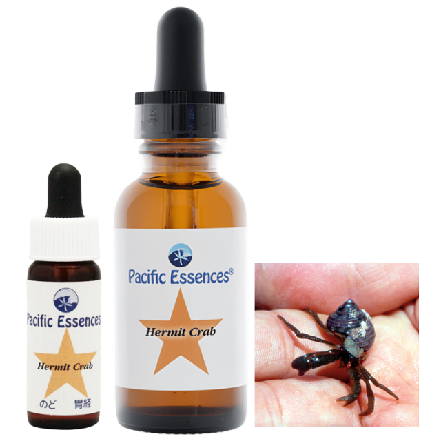 ハーミットクラブ