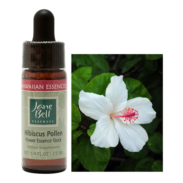 ハイビスカスポルン