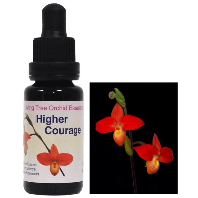 ラッフィングバタフライ リビングトゥリーオーキッドエッセンス