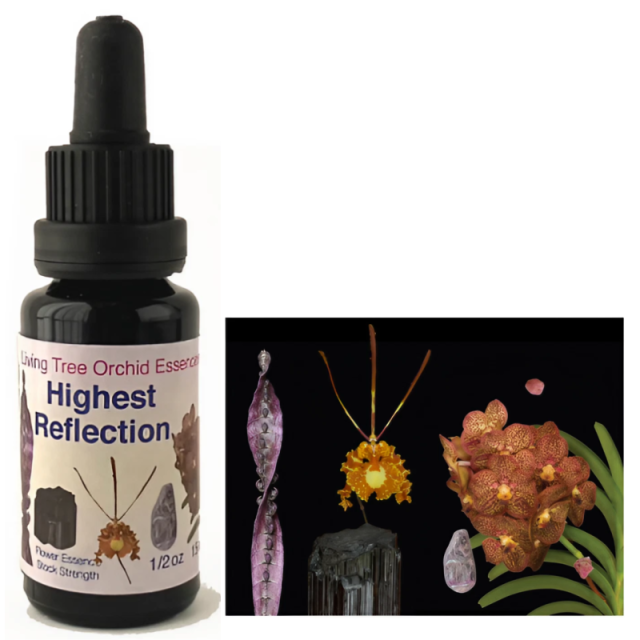 ハイエストリフレクション