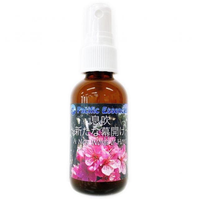 【専用】ストップアンドドロップス ラブズアルケミー　フラワーエッセンス wrapping.jpg