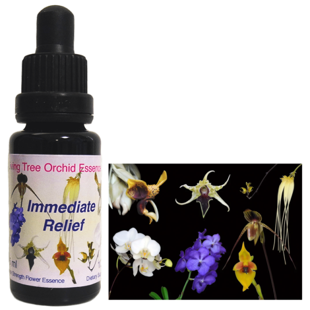 イミディエイトリリーフ