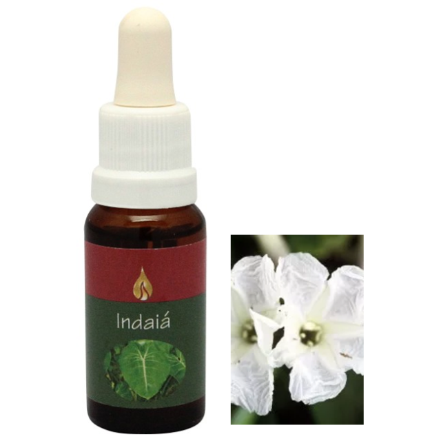 アッサ アラレタマ・レインフォレストエッセンス フラワーエッセンスの