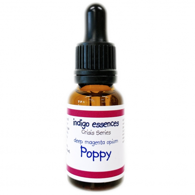 インディゴエッセンス クライシスシリーズ ディープ・マジェンタ