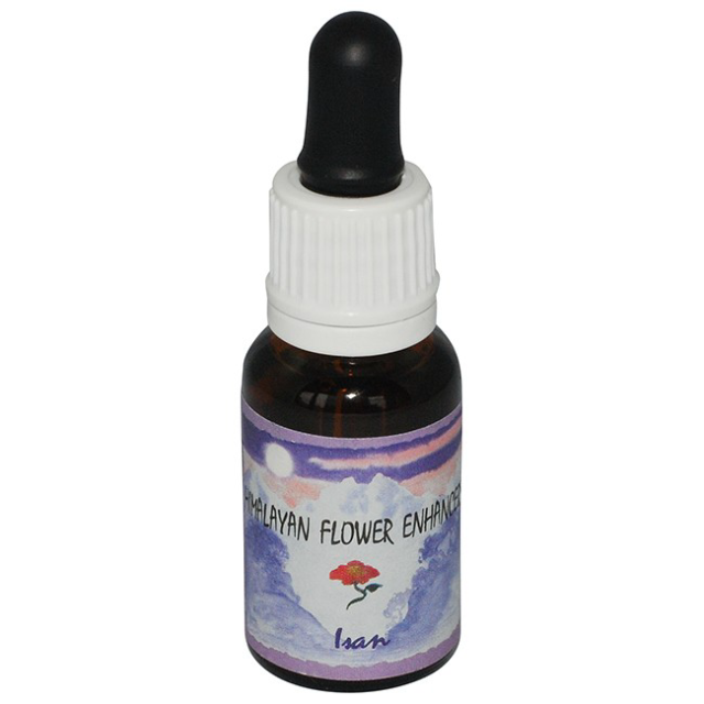 イサン（ニーム）