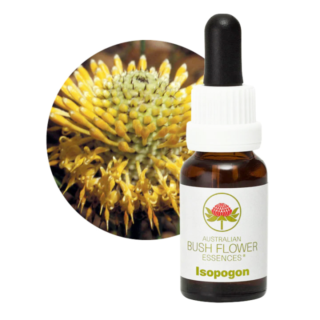 マウンテンデビル オーストラリアンブッシュフラワー シングル