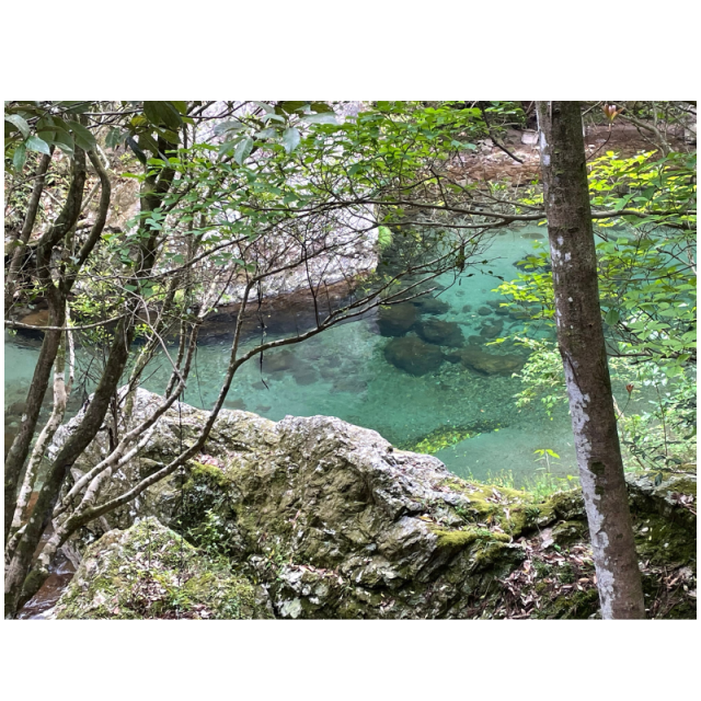 いつくしみ・Support