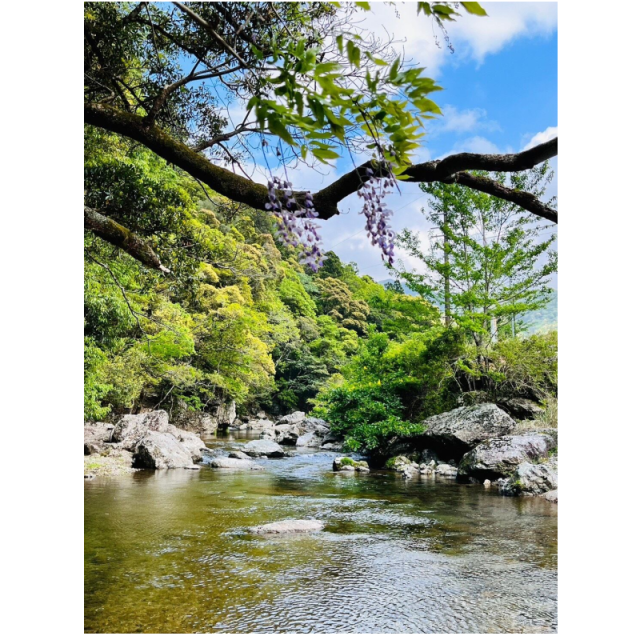 いつくしみ・Support