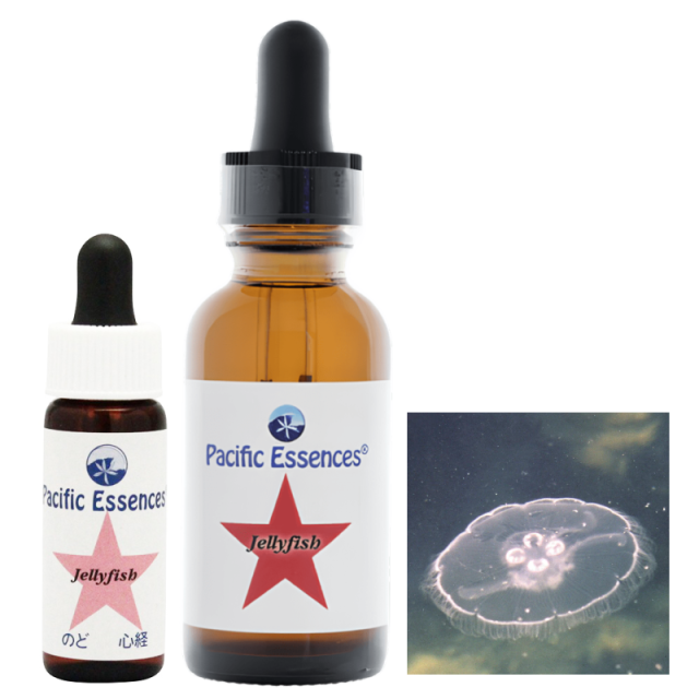 フラワーエッセンス　パシフィックエッセンス　経絡キットSea フラワーエッセンス パシフィックエッセンス 経絡キットSea