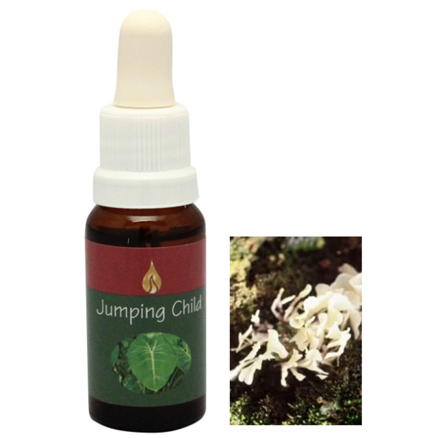 スリ アラレタマ・レインフォレストエッセンス フラワーエッセンスの