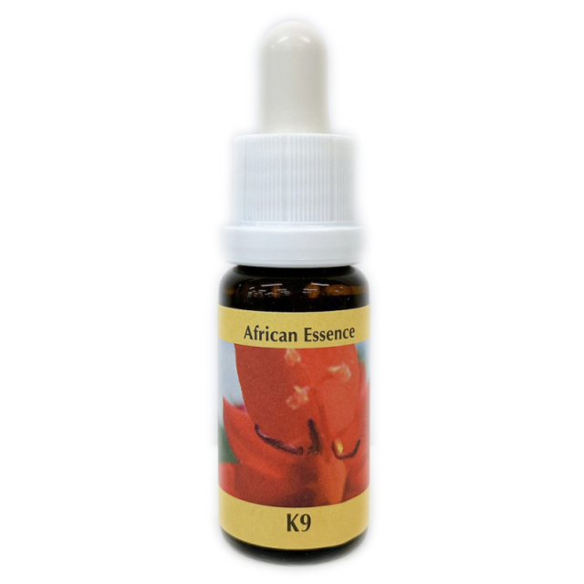 コルテPHIのRQ7・K9のエッセンス 【ベルチェレスタ】