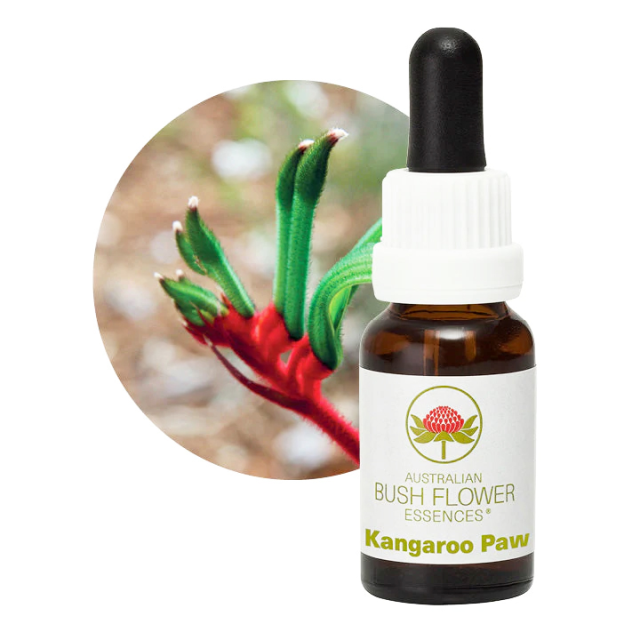 【専用】ピンクムラムラ　オーストラリアンブッシュ フラワーエッセンス　他 ピンクムラムラ[Pink Mulla Mulla] | ブランド一覧