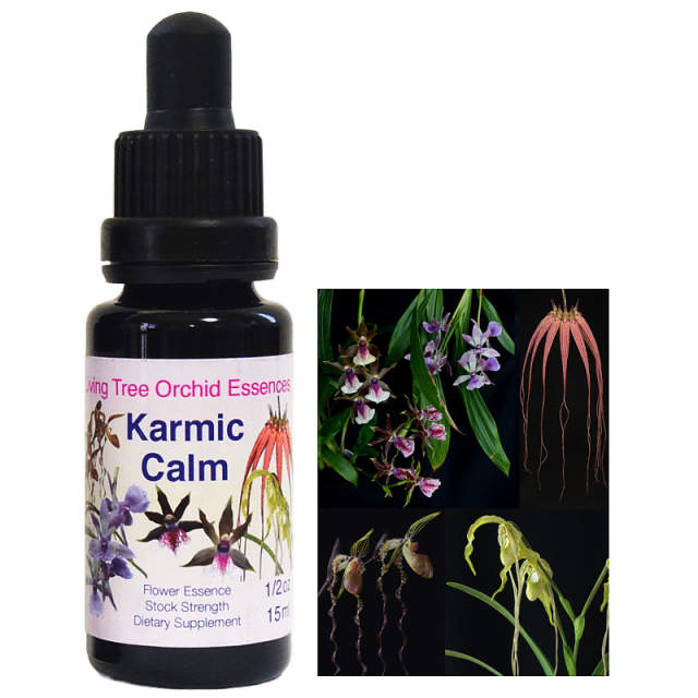 ビヨンドワーズ アラスカンエッセンス コンビネーション