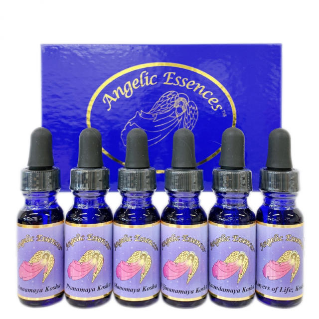 コーシャキット