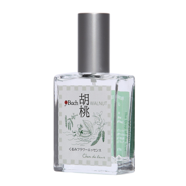 シャンドゥルール 出雲の四季シリーズ 「小待宵草