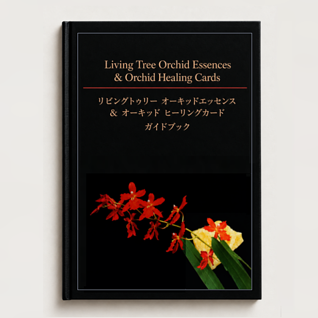 LTOEガイドブック