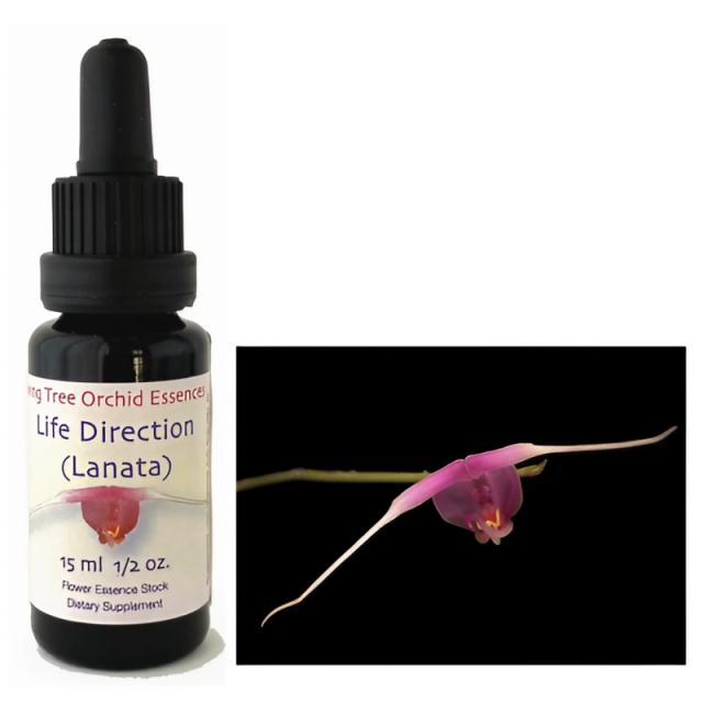 ライフディレクション リビングトゥリーオーキッドエッセンス