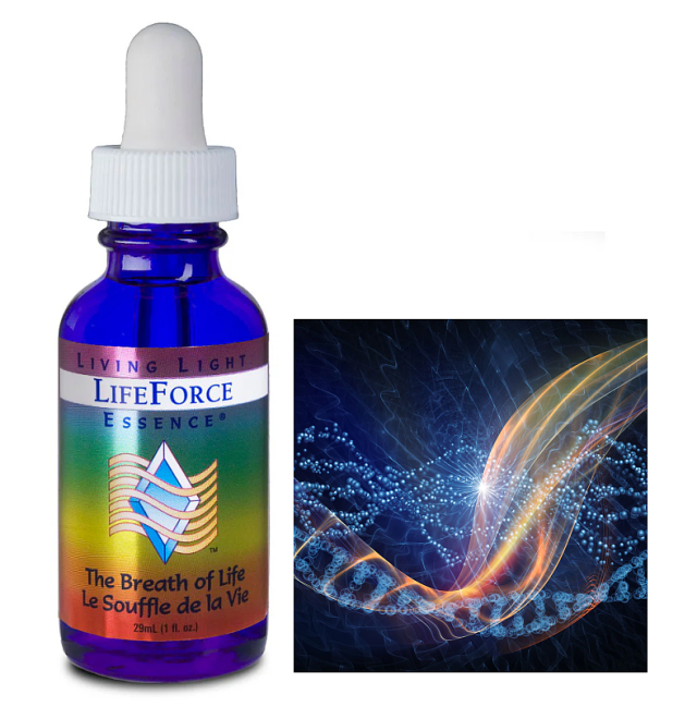 タントリックナイト フォーウーマン ヒマラヤンエンハンサーズ