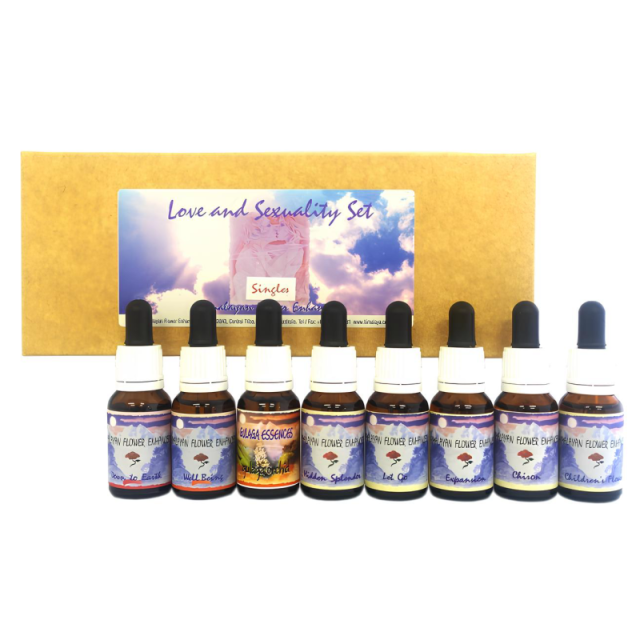 ラブ＆セクシャリティ　シングル用キット