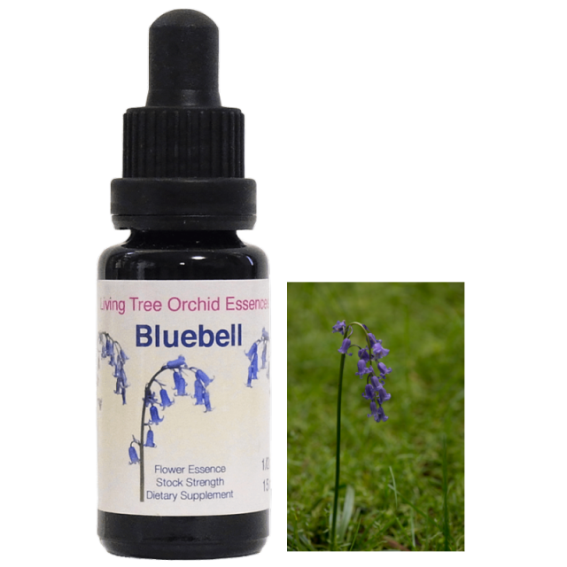 【予約品】レインボーペンダント　オーストラリアンブッシュ　フラワーエッセンス 楽天市場】レインボー フラワーエッセンス入りペンダント