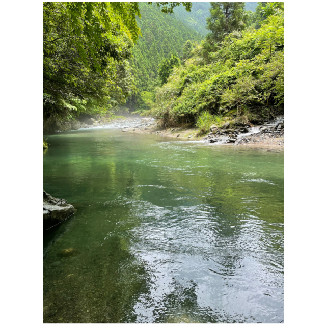 マリアのほほえみ　湧水