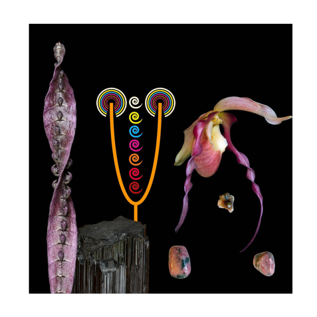 メディテーション