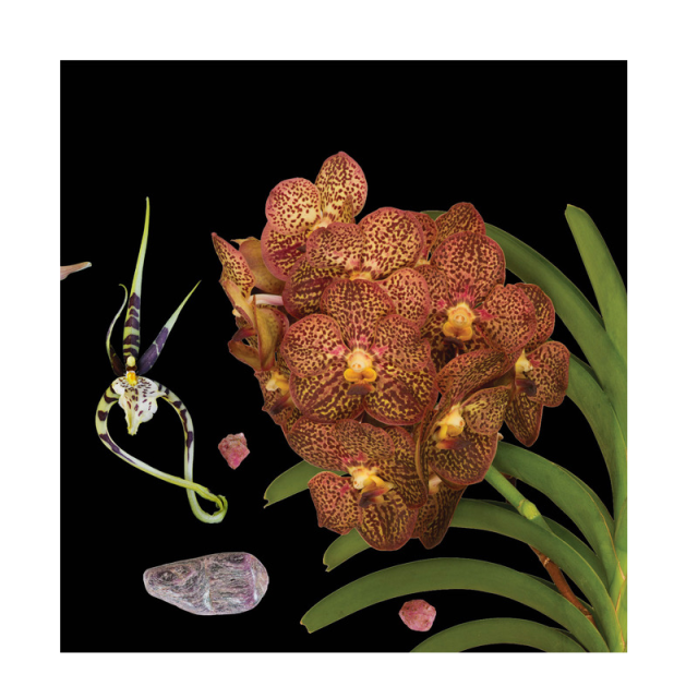 メディテーション