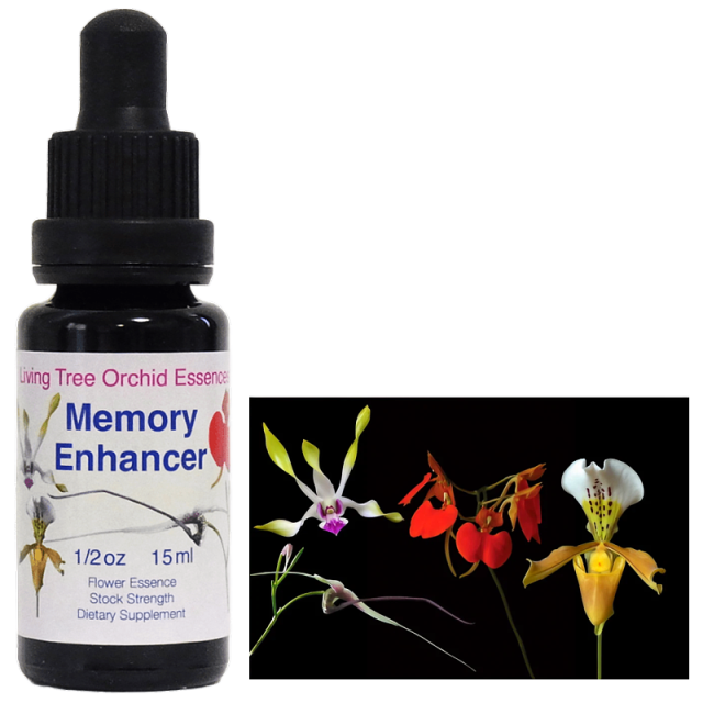 DTW フォーミュラ リカバリー フラワーエッセンスのベルチェレスタ