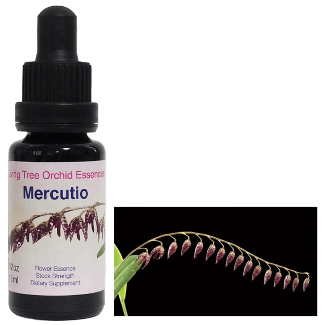 マーキューティオ（マーキューシオ）