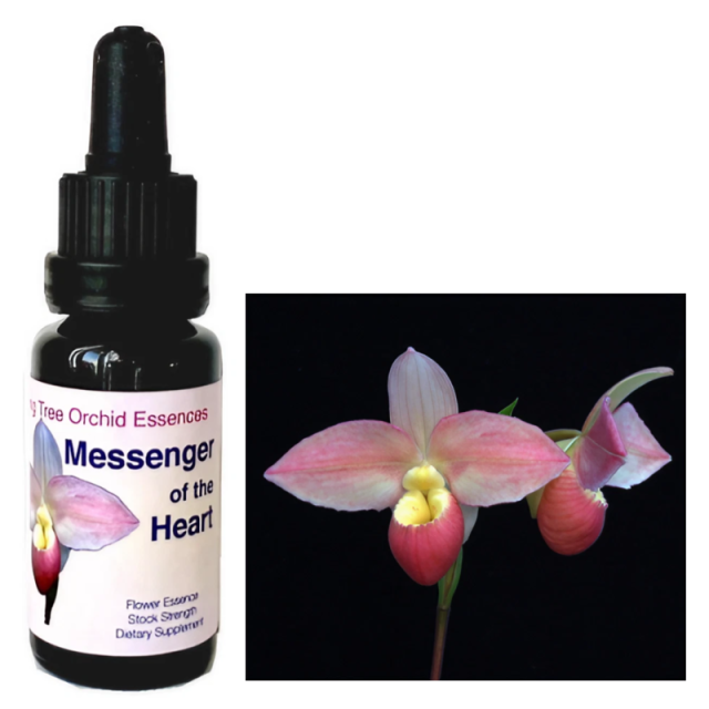 【専用】選べるアンジェリックエッセンス　4本　フラワーエッセンス Amazon.co.jp: アンジェリック エッセンス DNA 64 Kit5 15ml