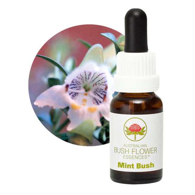 【専用】ピンクムラムラ　オーストラリアンブッシュ フラワーエッセンス　他 mint-bush720.png
