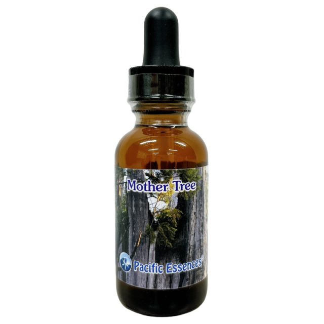 【専用】バブル オブ ラブインディゴエッセンス　フラワーエッセンス　他 専用】バブル オブ ラブインディゴエッセンス