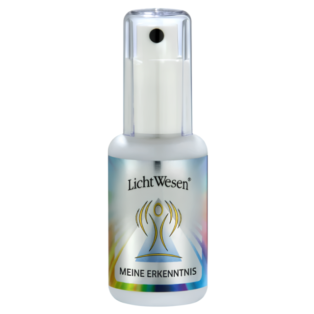 マイインサイト