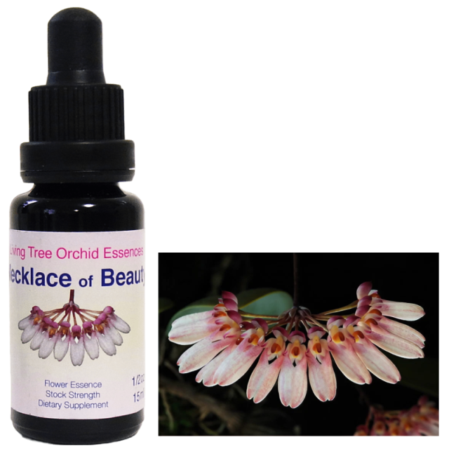 ネックレスオブビューティ