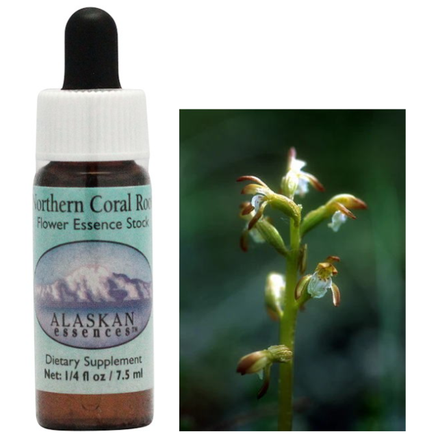 【専用】ソウルサポート　３本　アラスカン・エッセンス　フラワーエッセンス ソウルサポート《アラスカンエッセンス》30ml｜フラワーレメディ