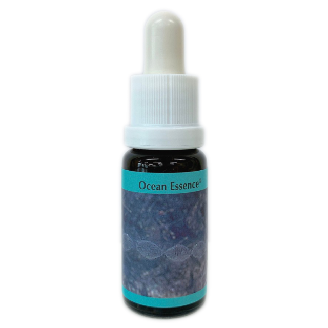 オーシャンエッセンスNo.11